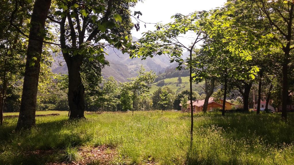 Casas Rurales Entrecastanos Onís 外观 照片
