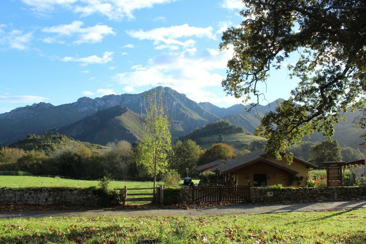 Casas Rurales Entrecastanos Onís 外观 照片