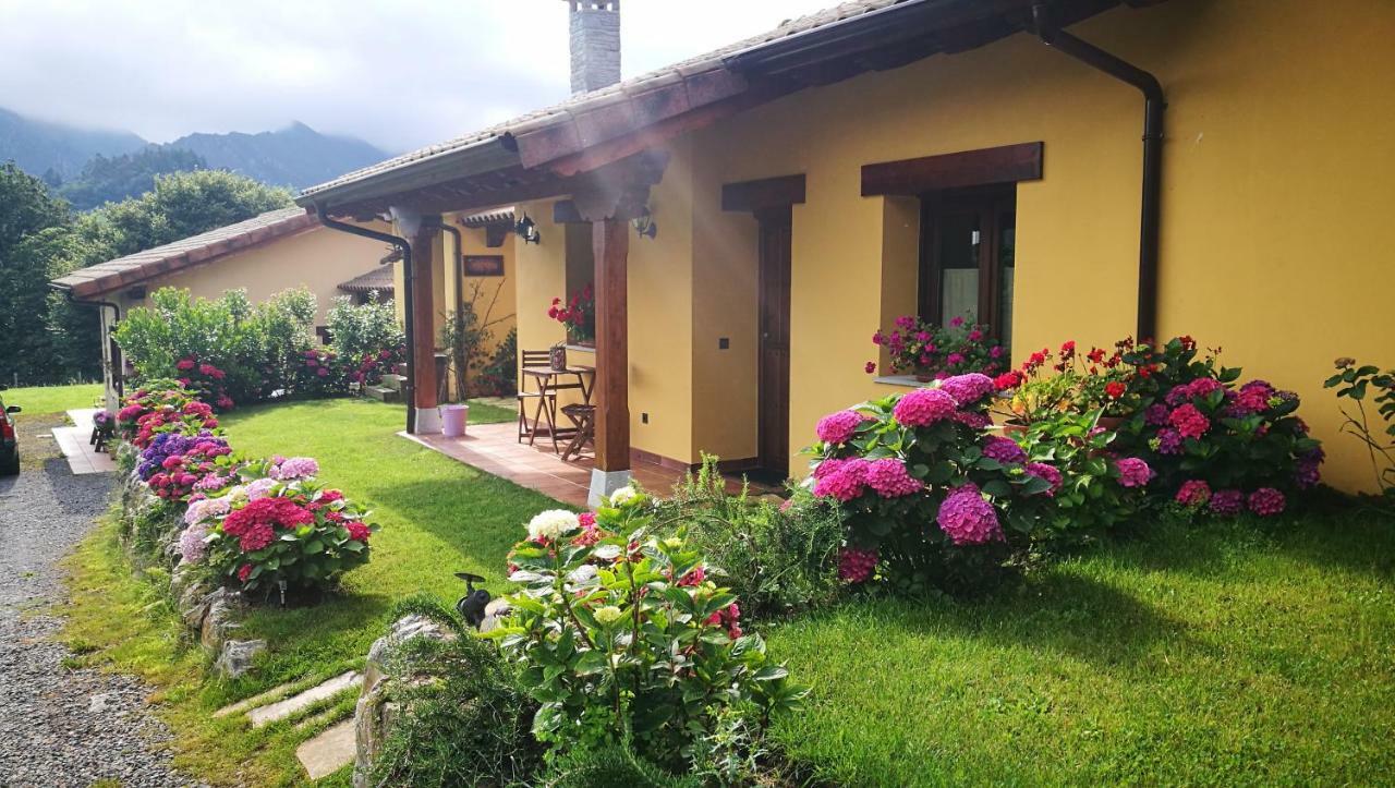 Casas Rurales Entrecastanos Onís 外观 照片