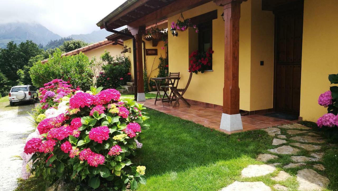 Casas Rurales Entrecastanos Onís 外观 照片